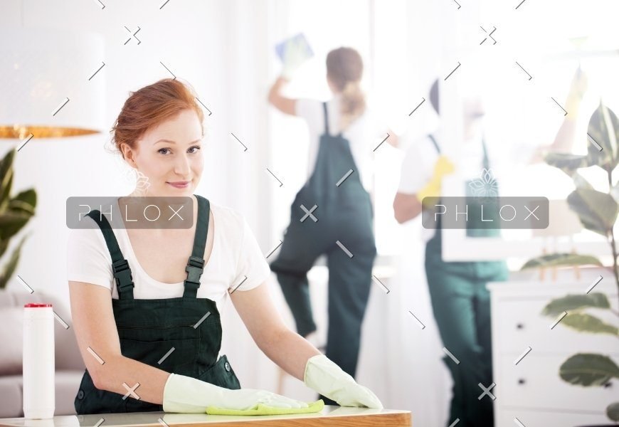 demo attachment 303 cleaning lady dusting table pn2prkw